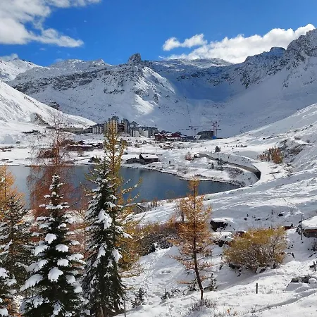 Neige D'or-1